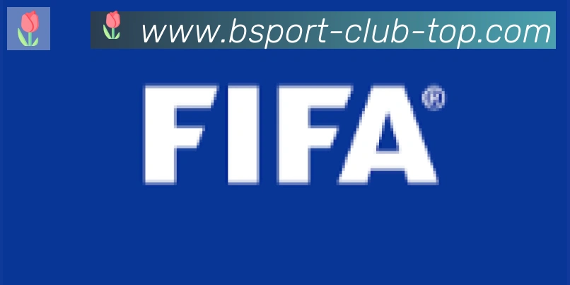 Bsports官网合作伙伴