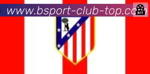 Bsports官网合作伙伴